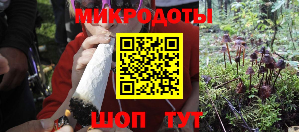 Псилоцибиновые грибы мицелий  Псилоцибиновые грибы GOLDEN TEACHER  Вход с VPN  Славгород 
